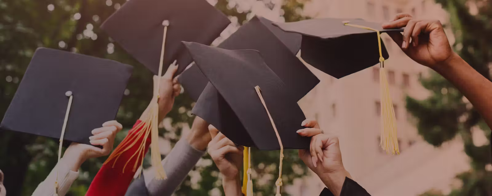 graduation hats throw image