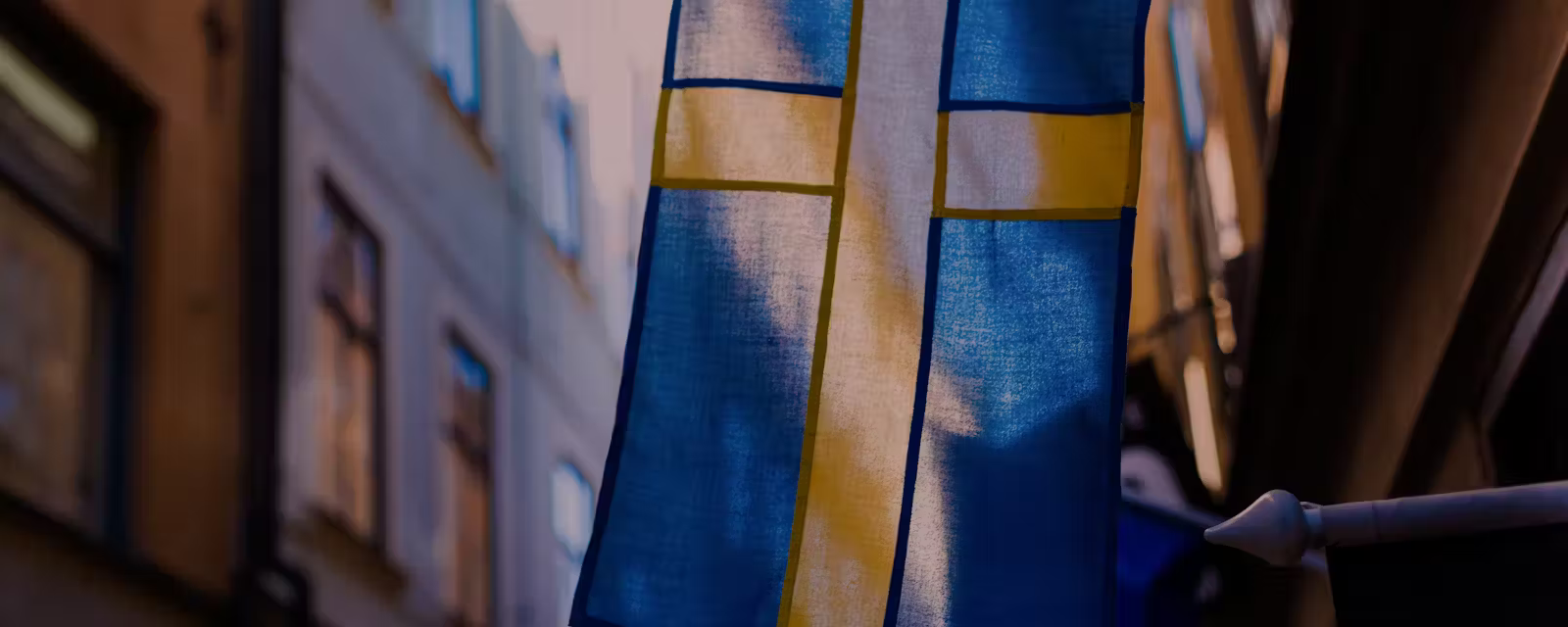 a picture of sweden flag